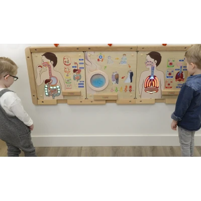 MASTERKIDZ Tablica Edukacyjna Układ Trawienny Montessori | Pan Piksel