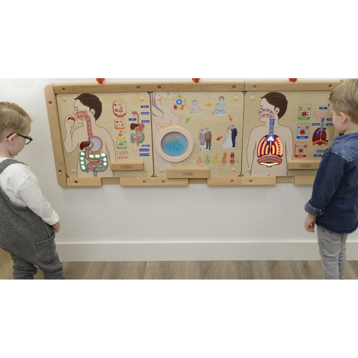 MASTERKIDZ Tablica Edukacyjna Układ Trawienny Montessori | Pan Piksel
