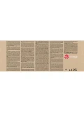 CLASSIC WORLD Drewniany Pchacz Samolot Miś Coco | Pan Piksel