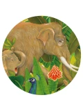 DJECO Puzzle gallery UKRYTE W NATURZE 1000 elem.