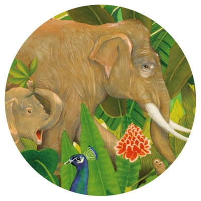 DJECO Puzzle gallery UKRYTE W NATURZE 1000 elem.