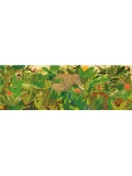DJECO Puzzle gallery UKRYTE W NATURZE 1000 elem.