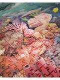 MOULIN ROTY Puzzle RAFA KORALOWA 1000 el. DOOKOŁA ŚWIATA