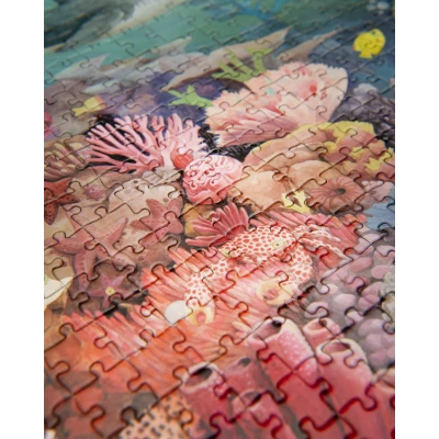 MOULIN ROTY Puzzle RAFA KORALOWA 1000 el. DOOKOŁA ŚWIATA
