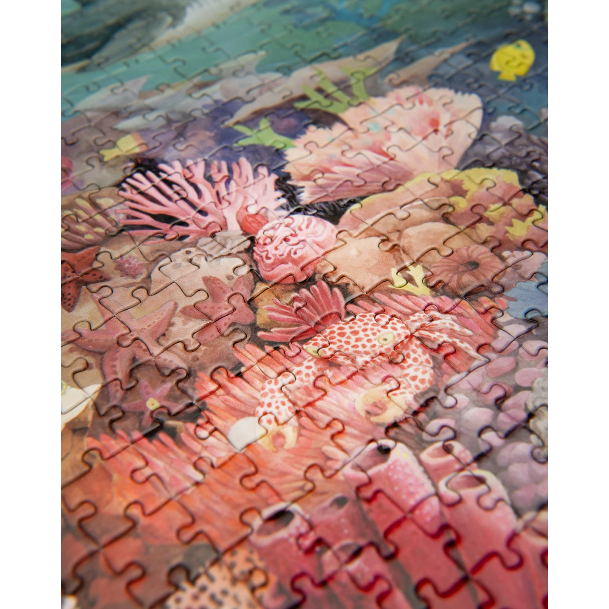 MOULIN ROTY Puzzle RAFA KORALOWA 1000 el. DOOKOŁA ŚWIATA