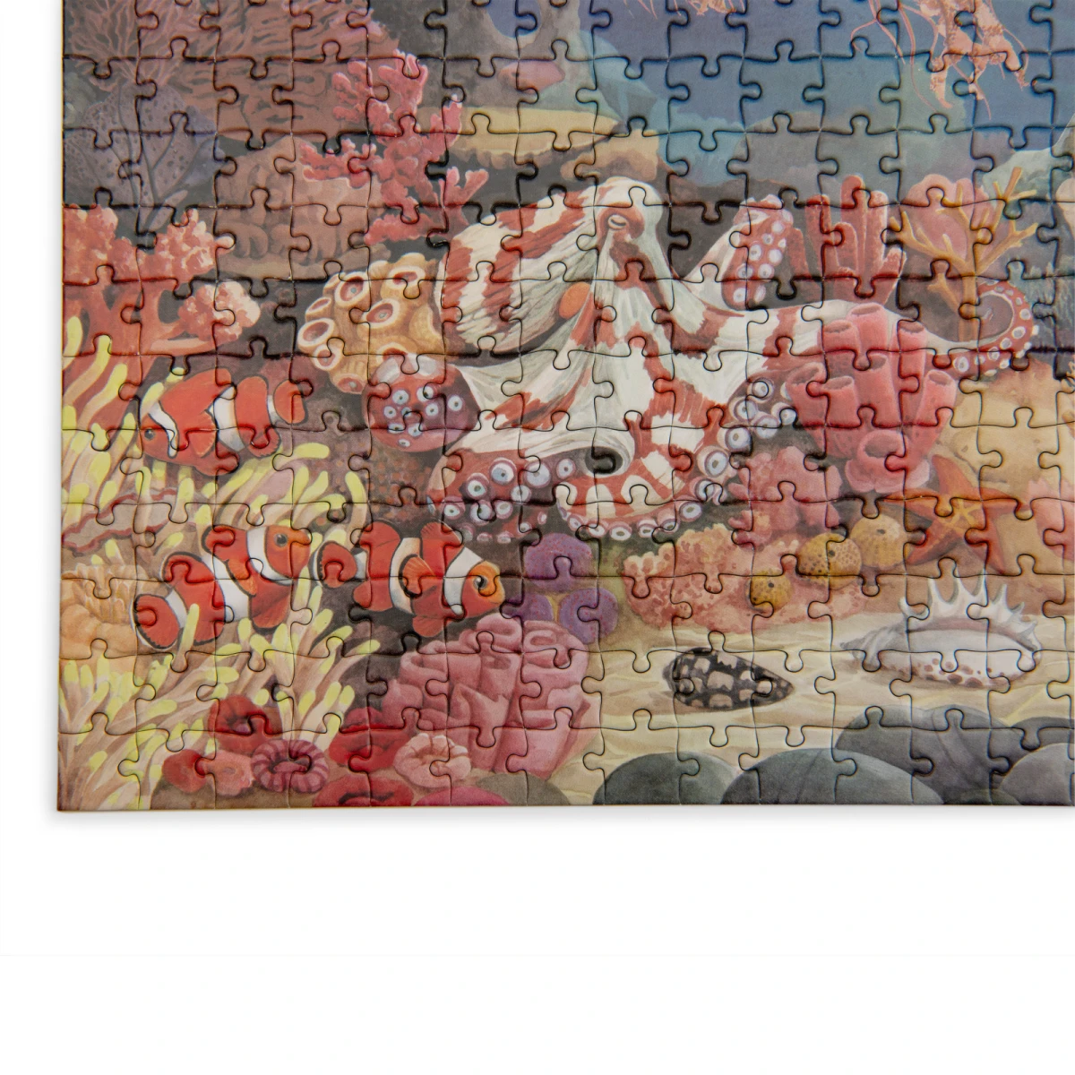 MOULIN ROTY Puzzle RAFA KORALOWA 1000 el. DOOKOŁA ŚWIATA