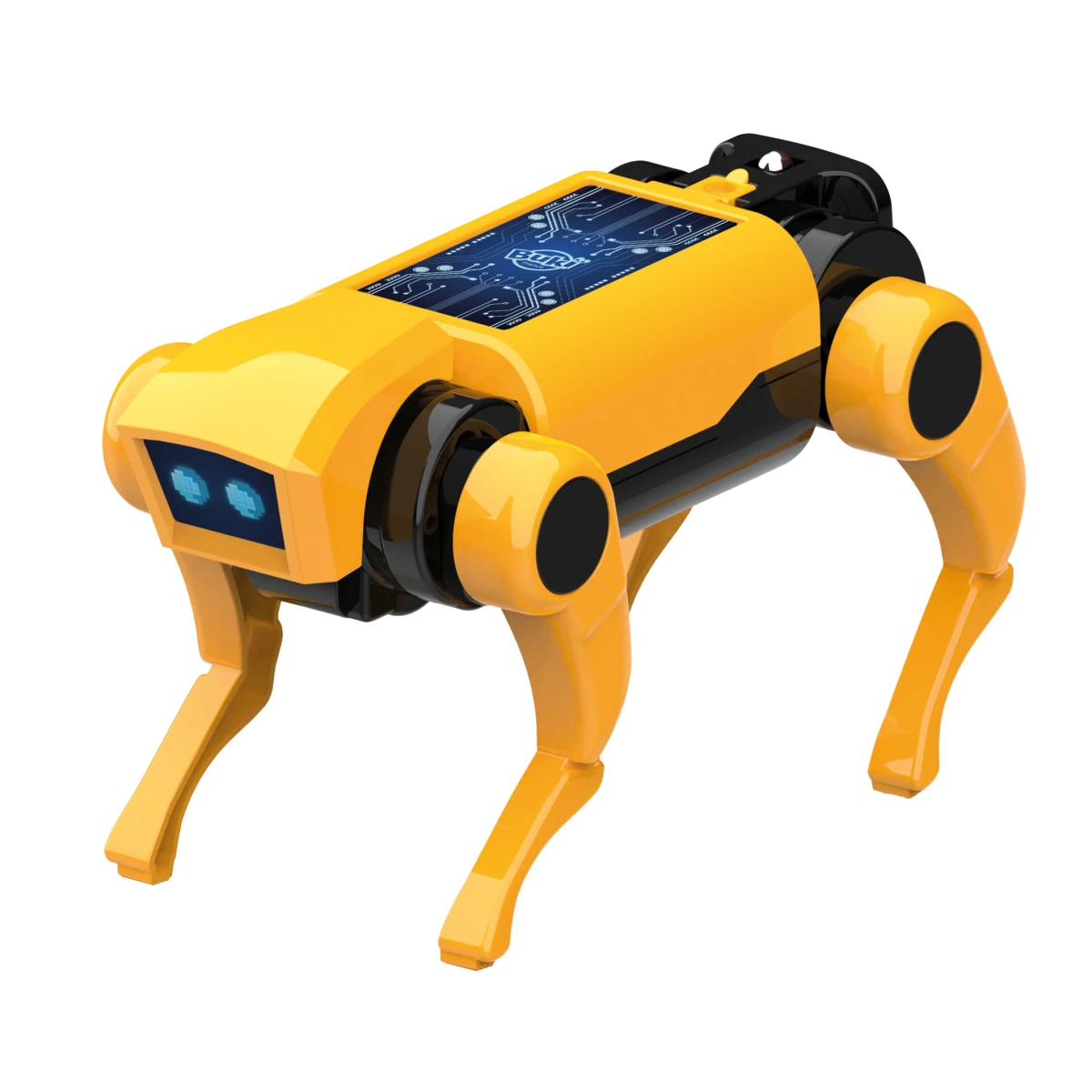 BUKI Mini lab ROBOT PIES