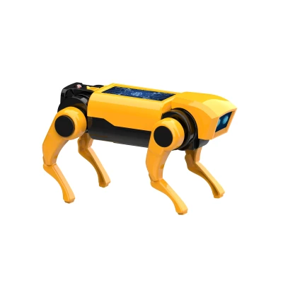 BUKI Mini lab ROBOT PIES