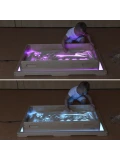 MASTERKIDZ Sensoryczna Prostokątna Taca do Zabawy Piaskiem