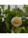 FRIGG Daisy Smoczek uspokajający 2-pak silikon 6-18m Chamomile /