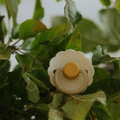 FRIGG Daisy Smoczek uspokajający 2-pak silikon 6-18m Chamomile /