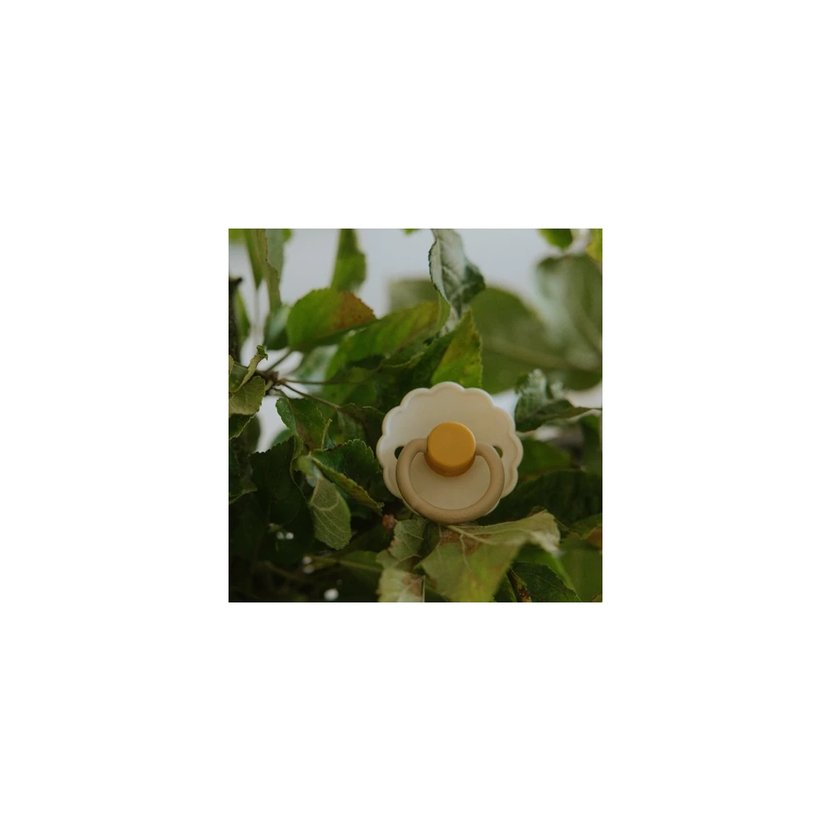 FRIGG Daisy Smoczek uspokajający 2-pak silikon 6-18m Chamomile /