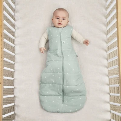 ergoPouch Śpiworek Jersey 3-12M 2.5TOG
