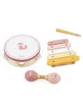 VIGA PolarB Zestaw Instrumentów Muzycznych Różowy