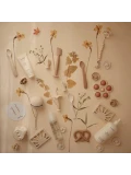 Mushie Etui na smoczek Shifting Sand