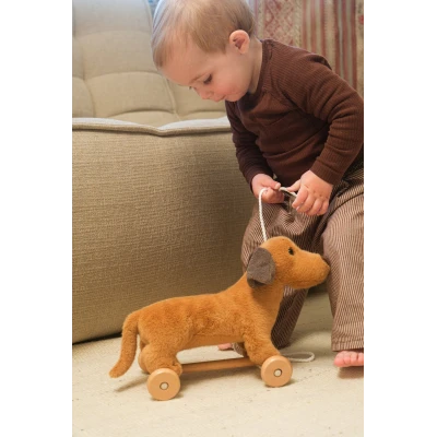 EGMONT TOYS Edward zabawka do ciągnięcia