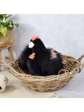 DOUDOU ET COMPAGNIE DOUDOU przytulanka kurka Poulette Histoire d'Ours 28 cm czarna