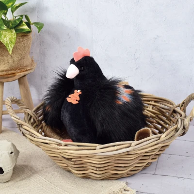 DOUDOU ET COMPAGNIE DOUDOU przytulanka kurka Poulette Histoire d'Ours 28 cm czarna