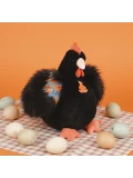 DOUDOU ET COMPAGNIE DOUDOU przytulanka kurka Poulette Histoire d'Ours 28 cm czarna