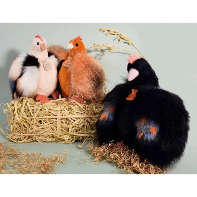 DOUDOU ET COMPAGNIE DOUDOU przytulanka kurka Poulette Histoire d'Ours 28 cm czarna