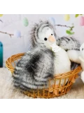 DOUDOU ET COMPAGNIE DOUDOU przytulanka kurka Poulette Histoire d'Ours 20 cm biało-szara