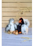 DOUDOU ET COMPAGNIE DOUDOU przytulanka kurka Poulette Histoire d'Ours 20 cm biało-szara