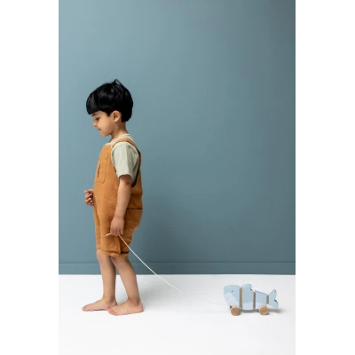 TRIXIE Drewniana zabawka do ciągnięcia z ruchomymi elementami Rekin Baby