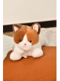 DOUDOU ET COMPAGNIE DOUDOU obciążeniowy pluszowy kot Les P'tits Relax Histoire d'Ours 22 cm rudo-biały