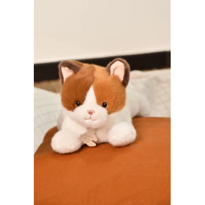 DOUDOU ET COMPAGNIE DOUDOU obciążeniowy pluszowy kot Les P'tits Relax Histoire d'Ours 22 cm rudo-biały