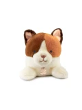 DOUDOU ET COMPAGNIE DOUDOU obciążeniowy pluszowy kot Les P'tits Relax Histoire d'Ours 22 cm rudo-biały