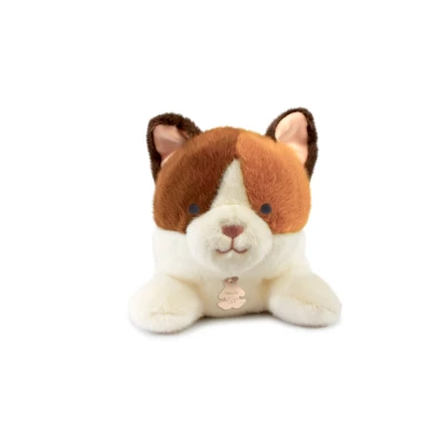 DOUDOU ET COMPAGNIE DOUDOU obciążeniowy pluszowy kot Les P'tits Relax Histoire d'Ours 22 cm rudo-biały
