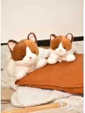 DOUDOU ET COMPAGNIE DOUDOU obciążeniowy pluszowy kot Les P'tits Relax Histoire d'Ours 22 cm rudo-biały
