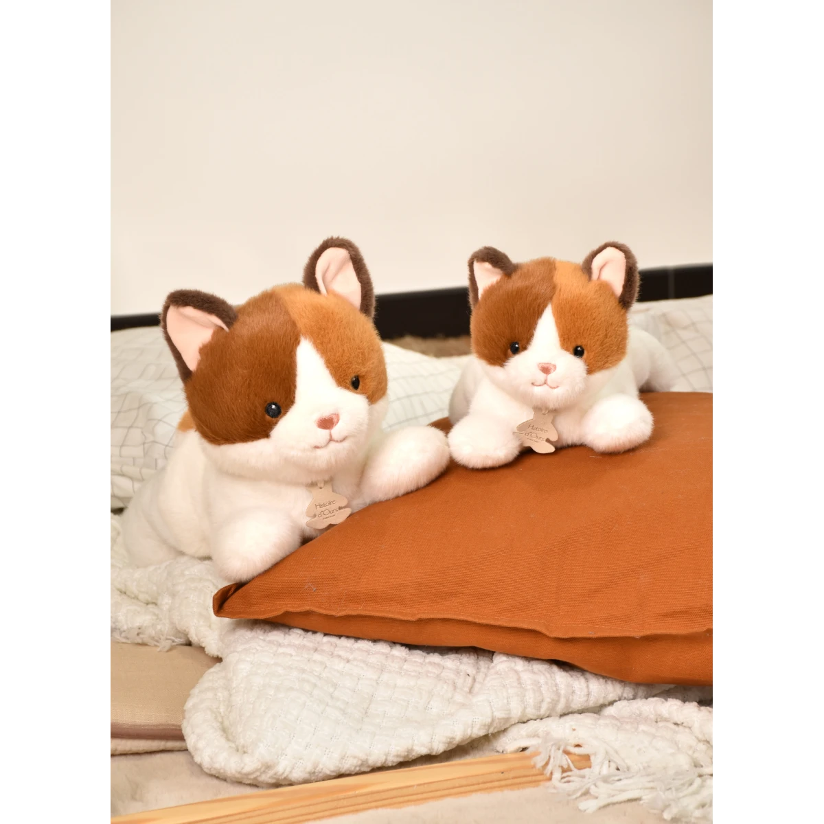 DOUDOU ET COMPAGNIE DOUDOU obciążeniowy pluszowy kot Les P'tits Relax Histoire d'Ours 22 cm rudo-biały
