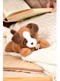 DOUDOU ET COMPAGNIE DOUDOU obciążeniowy pluszowy pies Les P'tits Relax Histoire d'Ours 22 cm brązowy