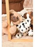 DOUDOU ET COMPAGNIE DOUDOU obciążeniowy pluszowy pies Les P'tits Relax Histoire d'Ours 22 cm brązowy