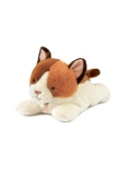 DOUDOU ET COMPAGNIE DOUDOU obciążeniowy pluszowy kot Les P'tits Relax Histoire d'Ours 30 cm rudo-biały