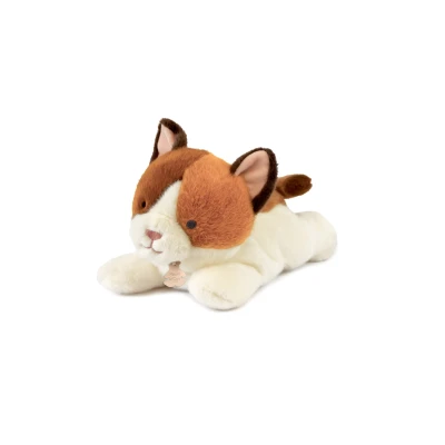 DOUDOU ET COMPAGNIE DOUDOU obciążeniowy pluszowy kot Les P'tits Relax Histoire d'Ours 30 cm rudo-biały