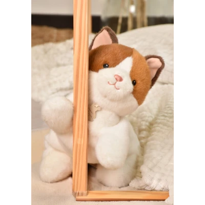 DOUDOU ET COMPAGNIE DOUDOU obciążeniowy pluszowy kot Les P'tits Relax Histoire d'Ours 30 cm rudo-biały