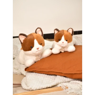 DOUDOU ET COMPAGNIE DOUDOU obciążeniowy pluszowy kot Les P'tits Relax Histoire d'Ours 30 cm rudo-biały