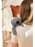 DOUDOU ET COMPAGNIE DOUDOU przytulanka magnetyczna Podcoll Koala Histoire d'Ours 30 cm szary