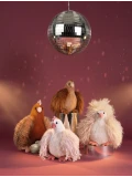 DOUDOU ET COMPAGNIE DOUDOU przytulanka kurka Poulette Frisottis Histoire d'Ours 20 cm kręcone piórka