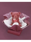 DOUDOU ET COMPAGNIE DOUDOU miś z kocykiem Mój Mały Miś  8 szt. ZESTAW